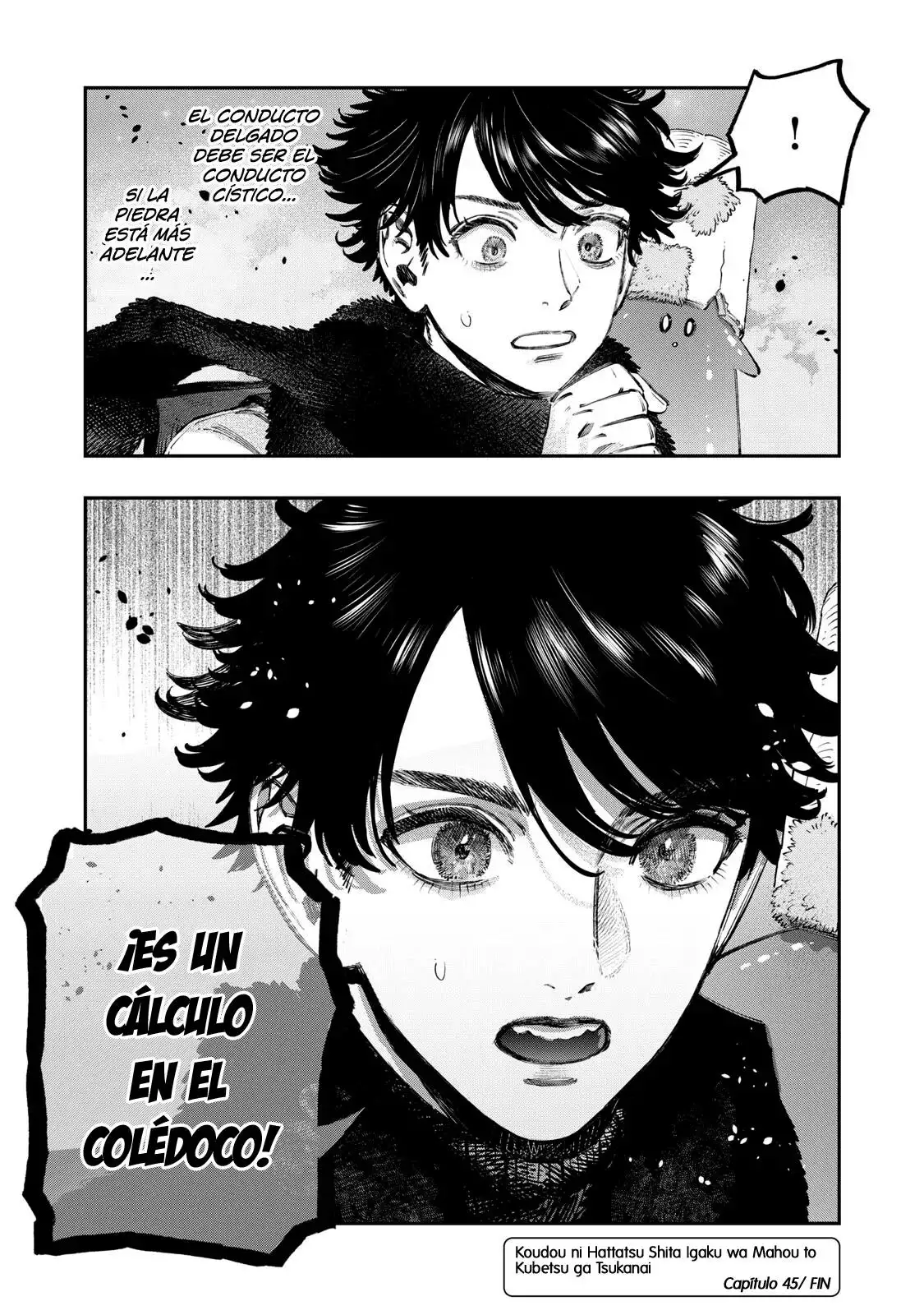 Koudou Ni Hattatsu Shita Igaku Wa Mahou To Kubetsu Ga Tsukanai - Capítulo 45 - Página 47 - LectorTMOo