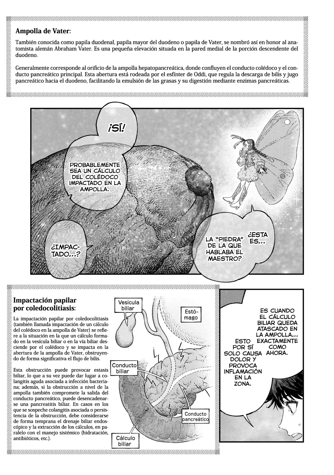 Koudou Ni Hattatsu Shita Igaku Wa Mahou To Kubetsu Ga Tsukanai - Capítulo 47 - Página 40 - LectorTMOo