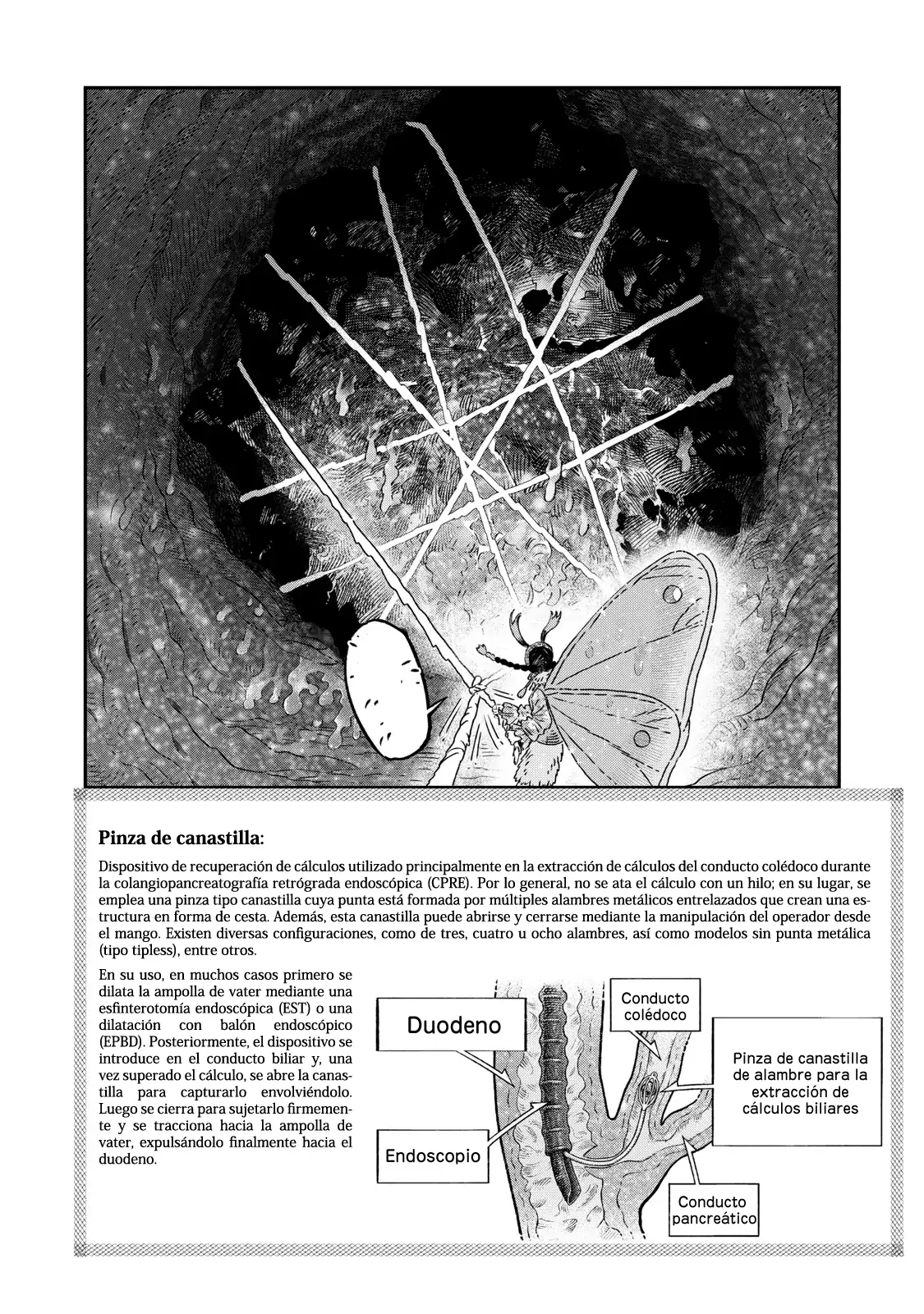 Koudou Ni Hattatsu Shita Igaku Wa Mahou To Kubetsu Ga Tsukanai - Capítulo 48 - Página 23 - LectorTMOo