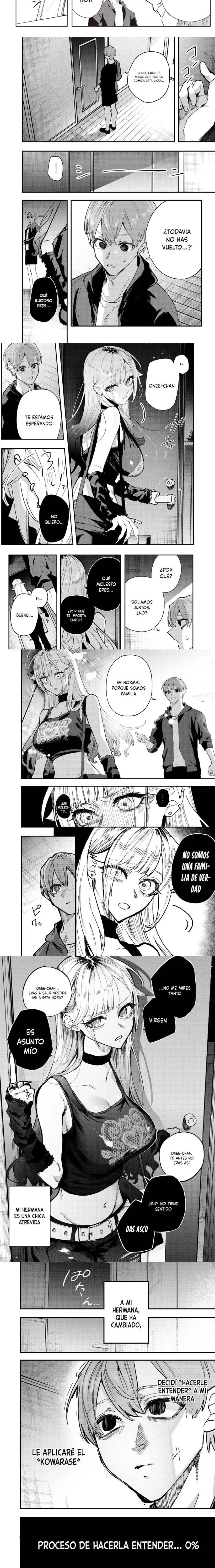 Namaiki na Gyaru Ane o Wakaraseru Hanashi - Capítulo 1 - Página 5 - LectorTMOo