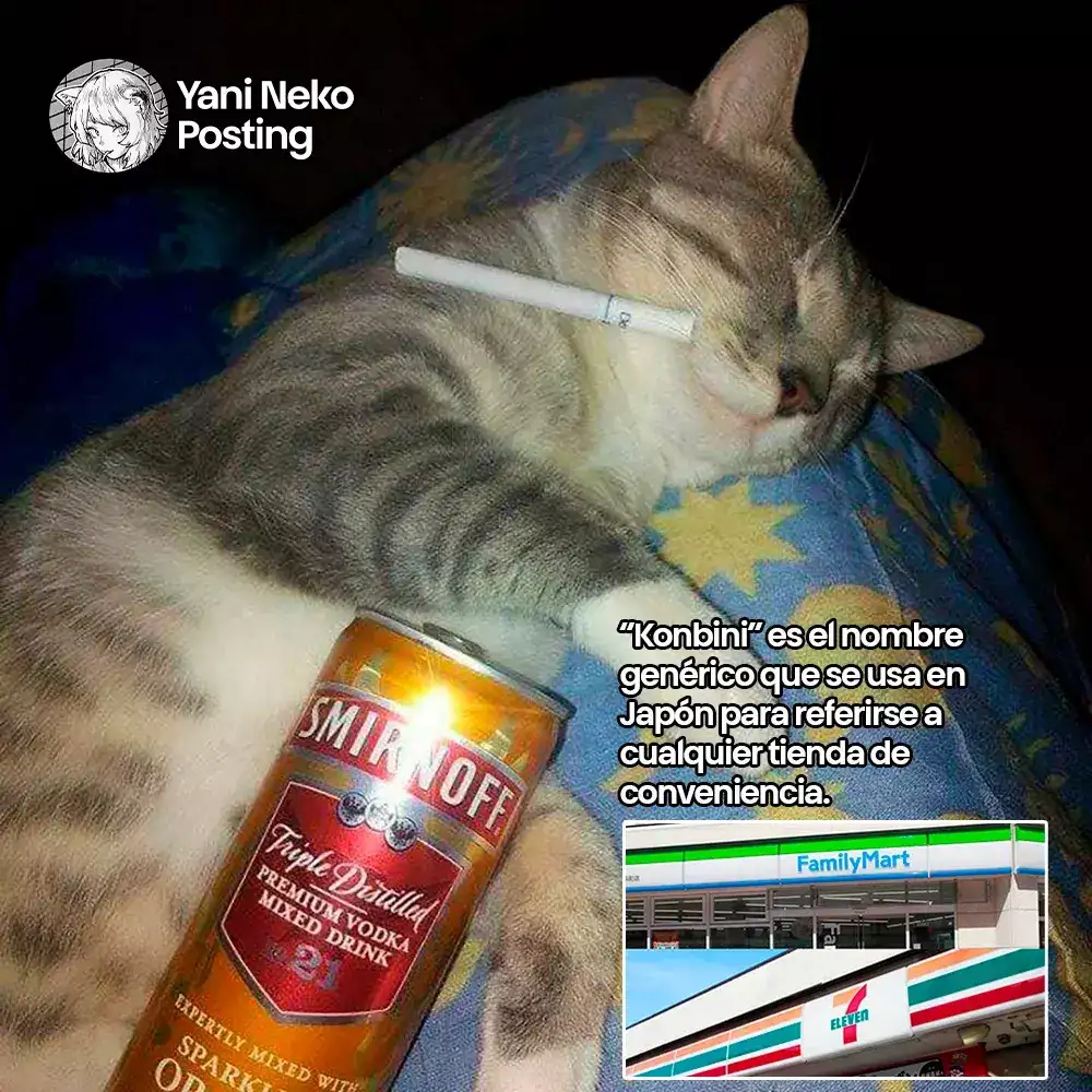NICOTINEKO - Capítulo 24 - Página 5 - LectorTMOo