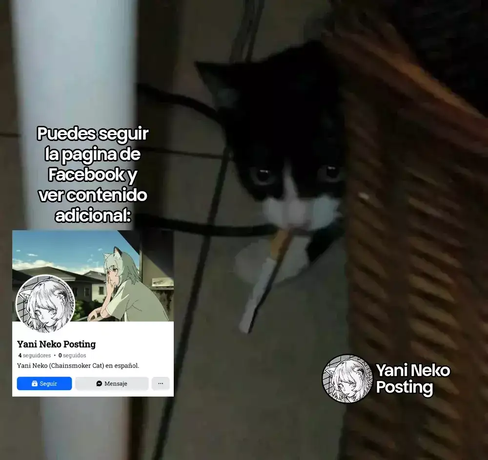 NICOTINEKO - Capítulo 28 - Página 5 - LectorTMOo