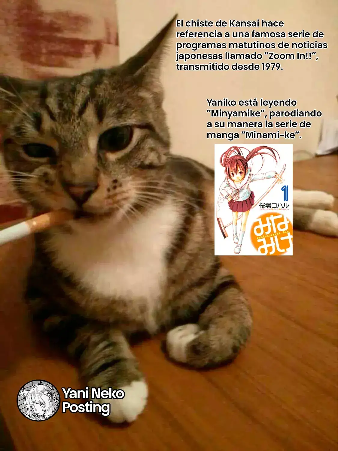 NICOTINEKO - Capítulo 35 - Página 9 - LectorTMOo