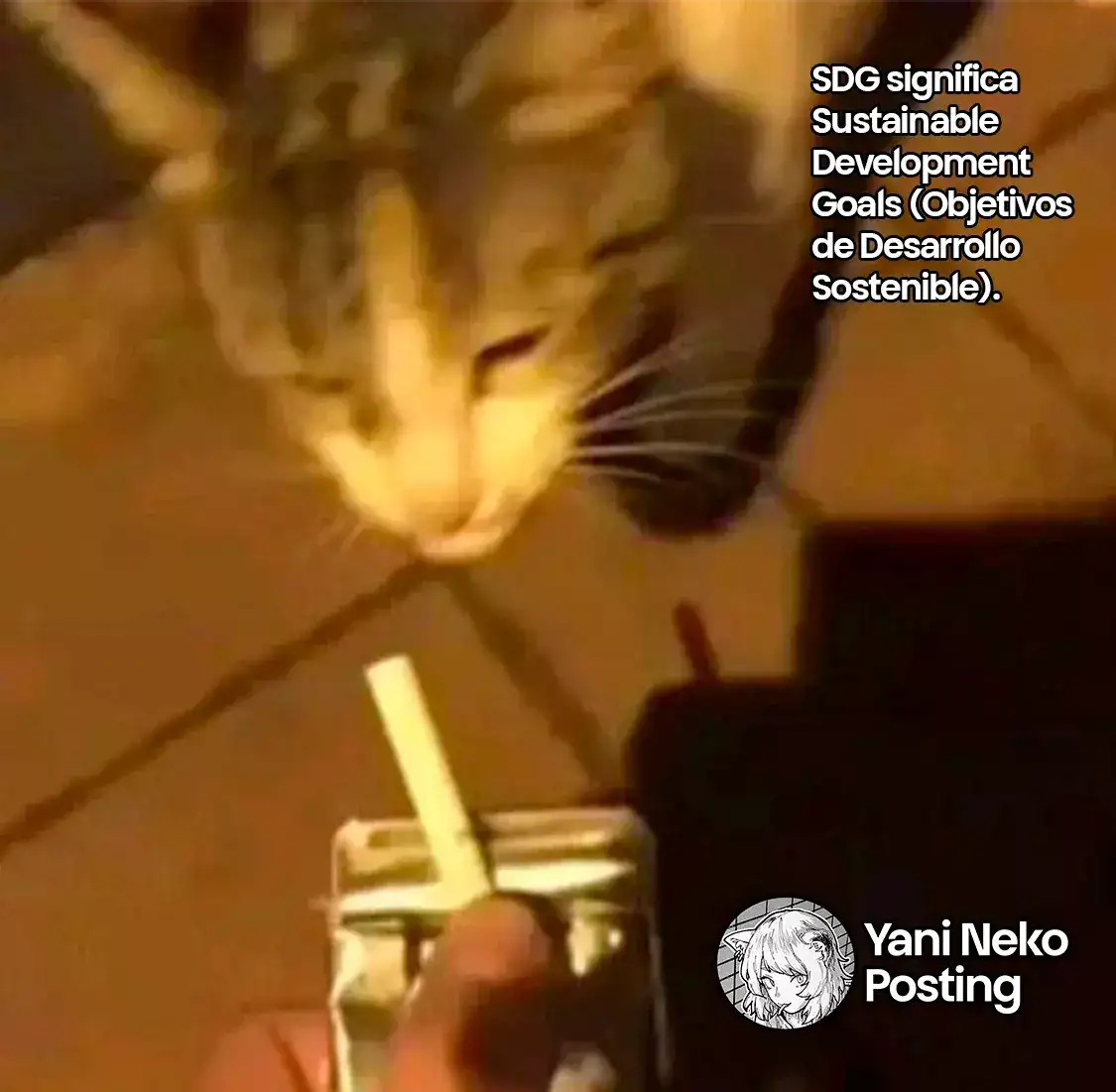NICOTINEKO - Capítulo 36 - Página 5 - LectorTMOo