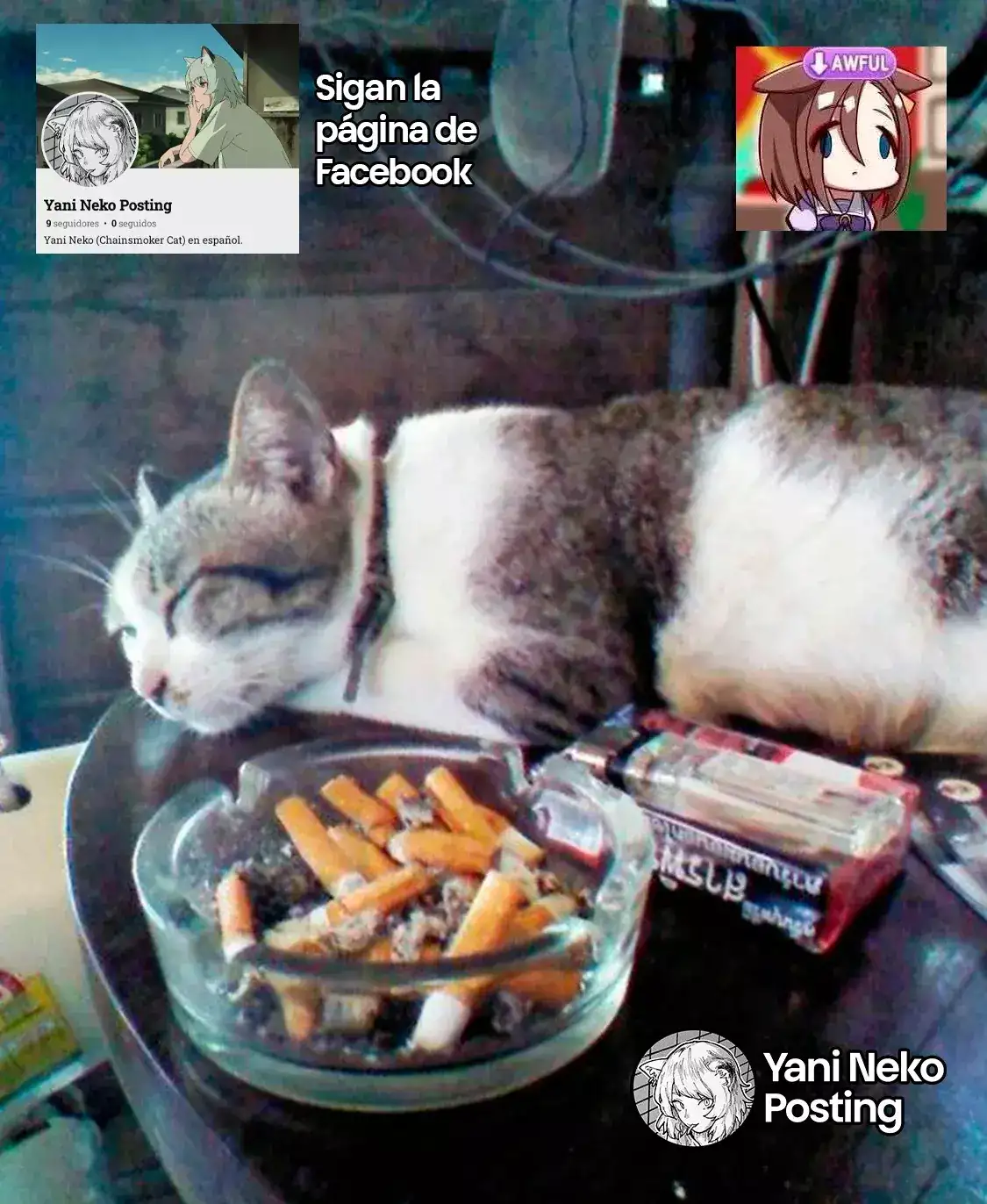 NICOTINEKO - Capítulo 40 - Página 5 - LectorTMOo