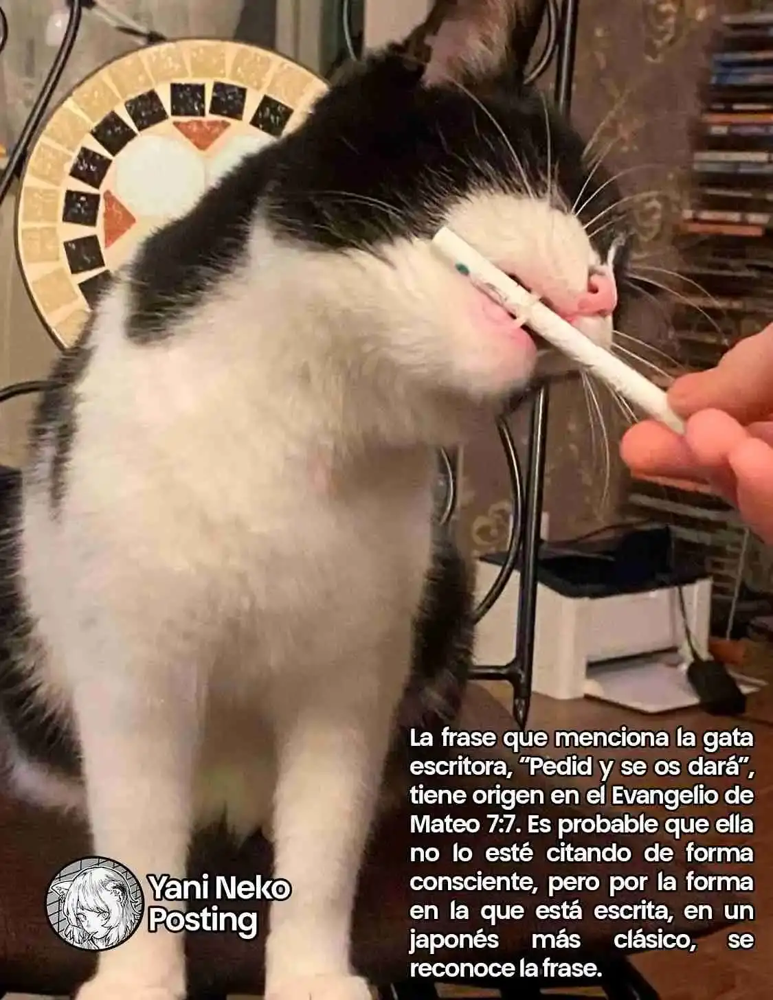 NICOTINEKO - Capítulo 44 - Página 5 - LectorTMOo