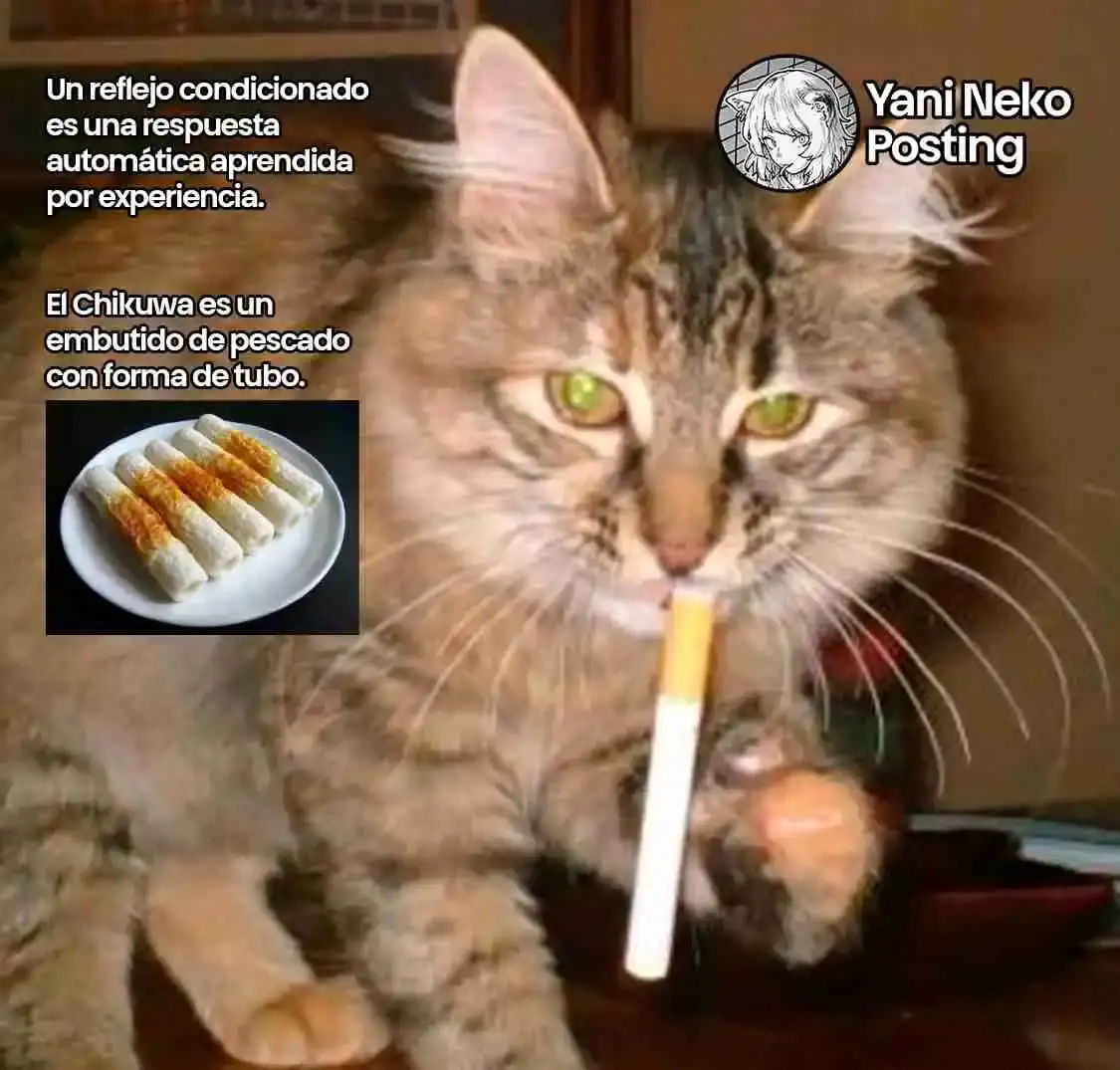 NICOTINEKO - Capítulo 51 - Página 5 - LectorTMOo