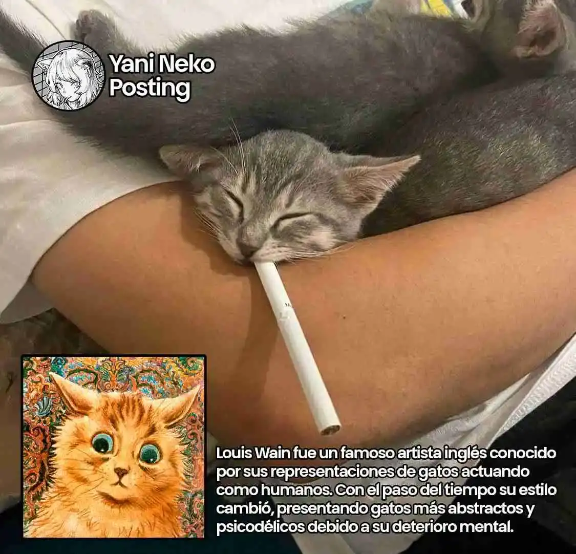 NICOTINEKO - Capítulo 53 - Página 7 - LectorTMOo
