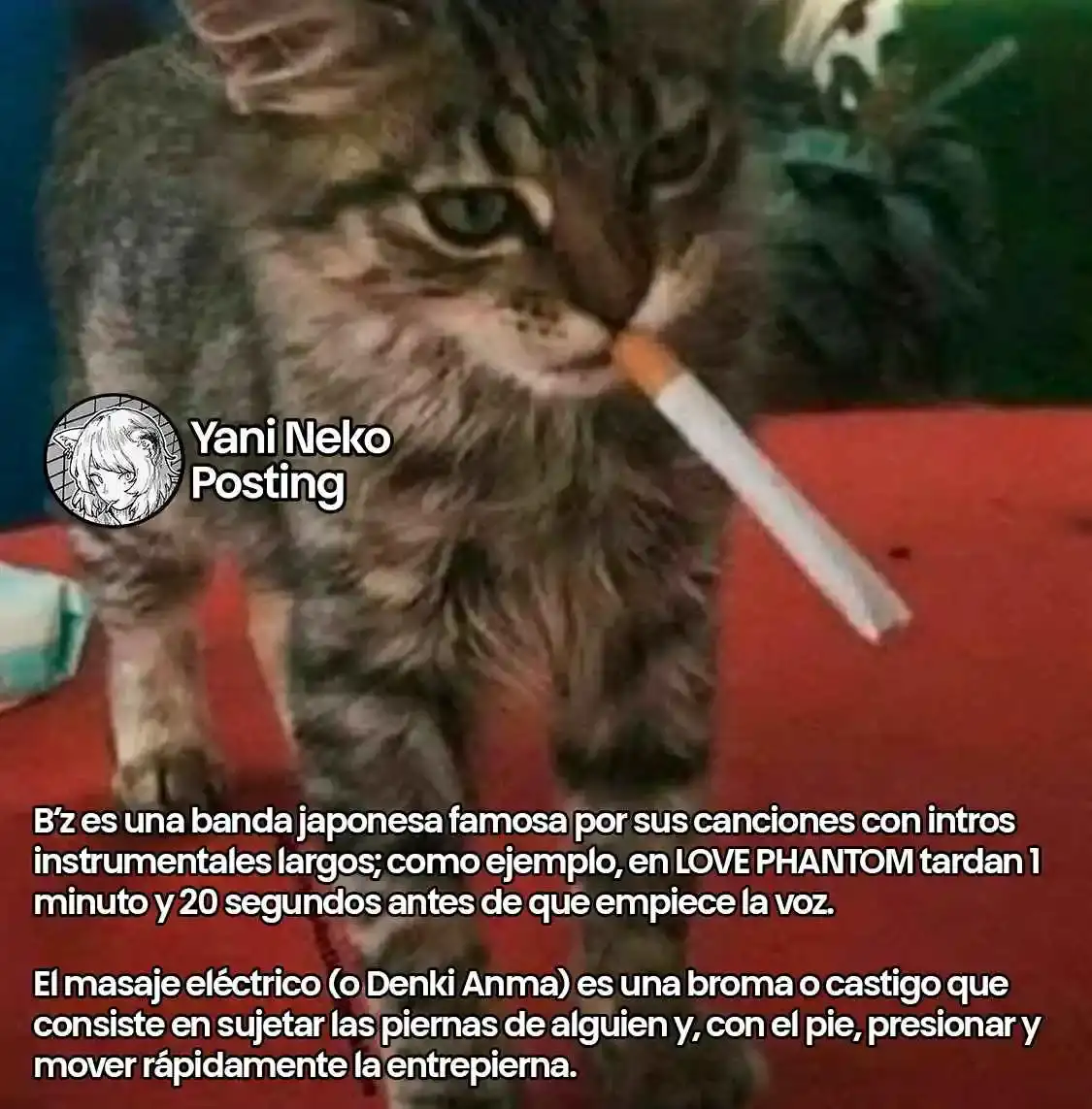 NICOTINEKO - Capítulo 73 - Página 5 - LectorTMOo