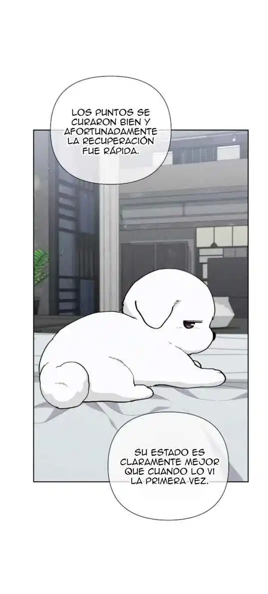 ¡No Toques Al Perro! - Capítulo 13 - Página 54 - LectorTMOo