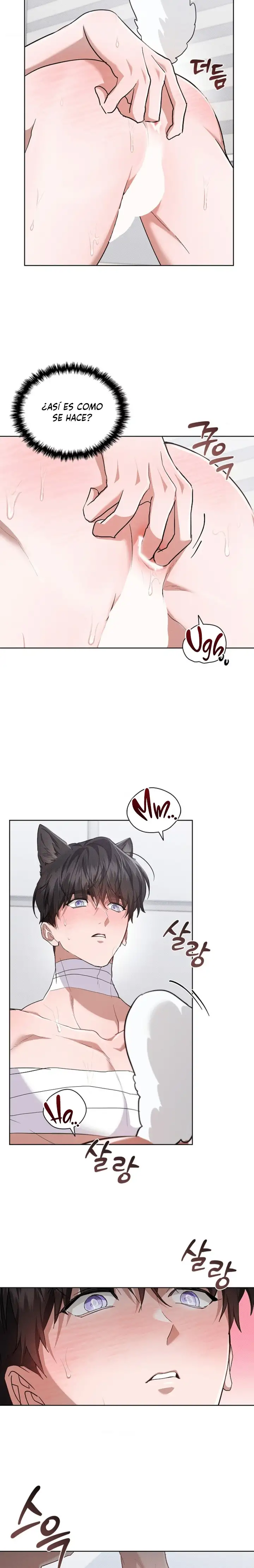 ¡No Toques Al Perro! - Capítulo 41 - Página 14 - LectorTMOo