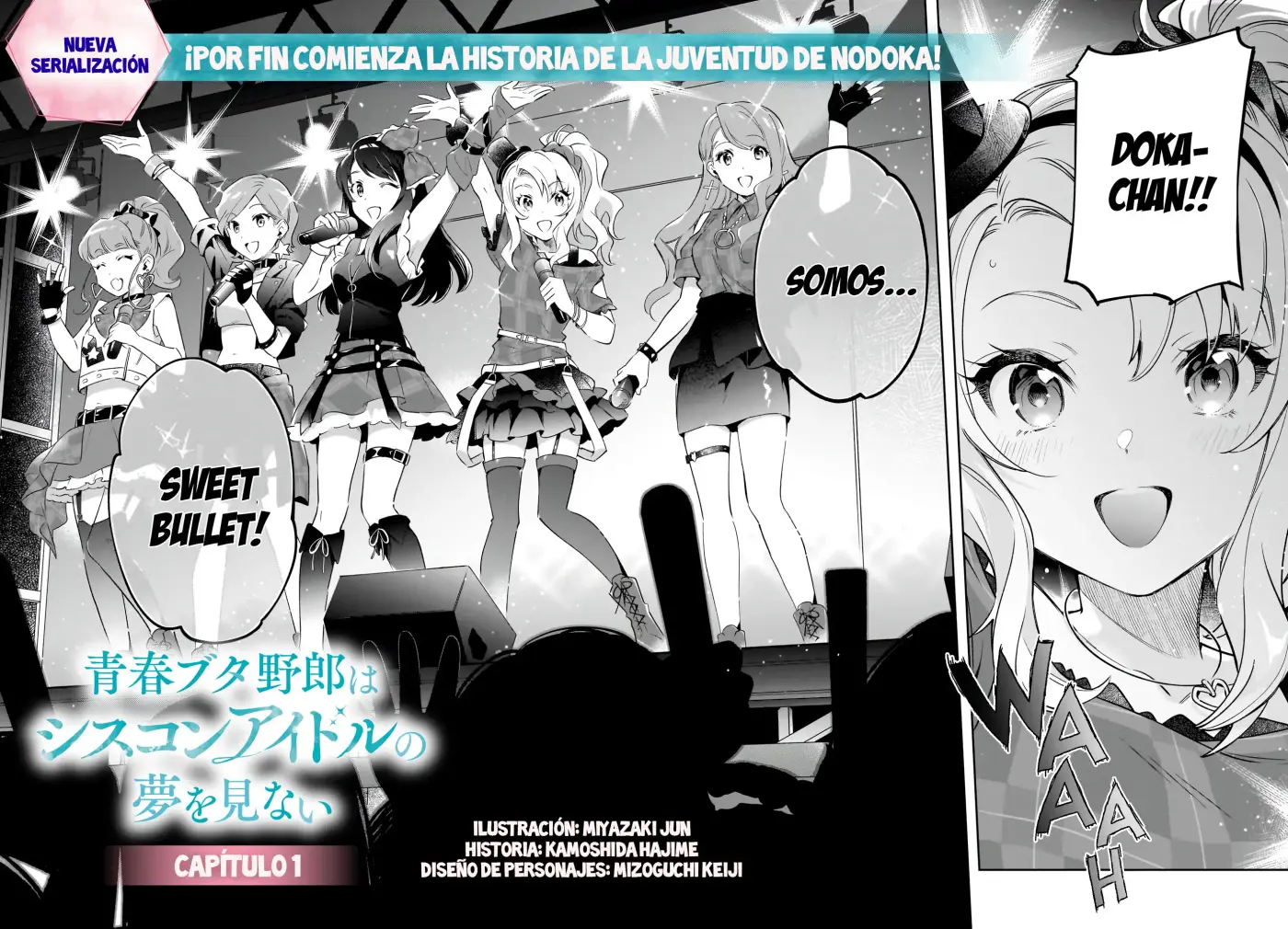 Seishun Buta Yarou wa Siscon Idol no Yume o Minai - Capítulo 1 - Página 3 - LectorTMOo