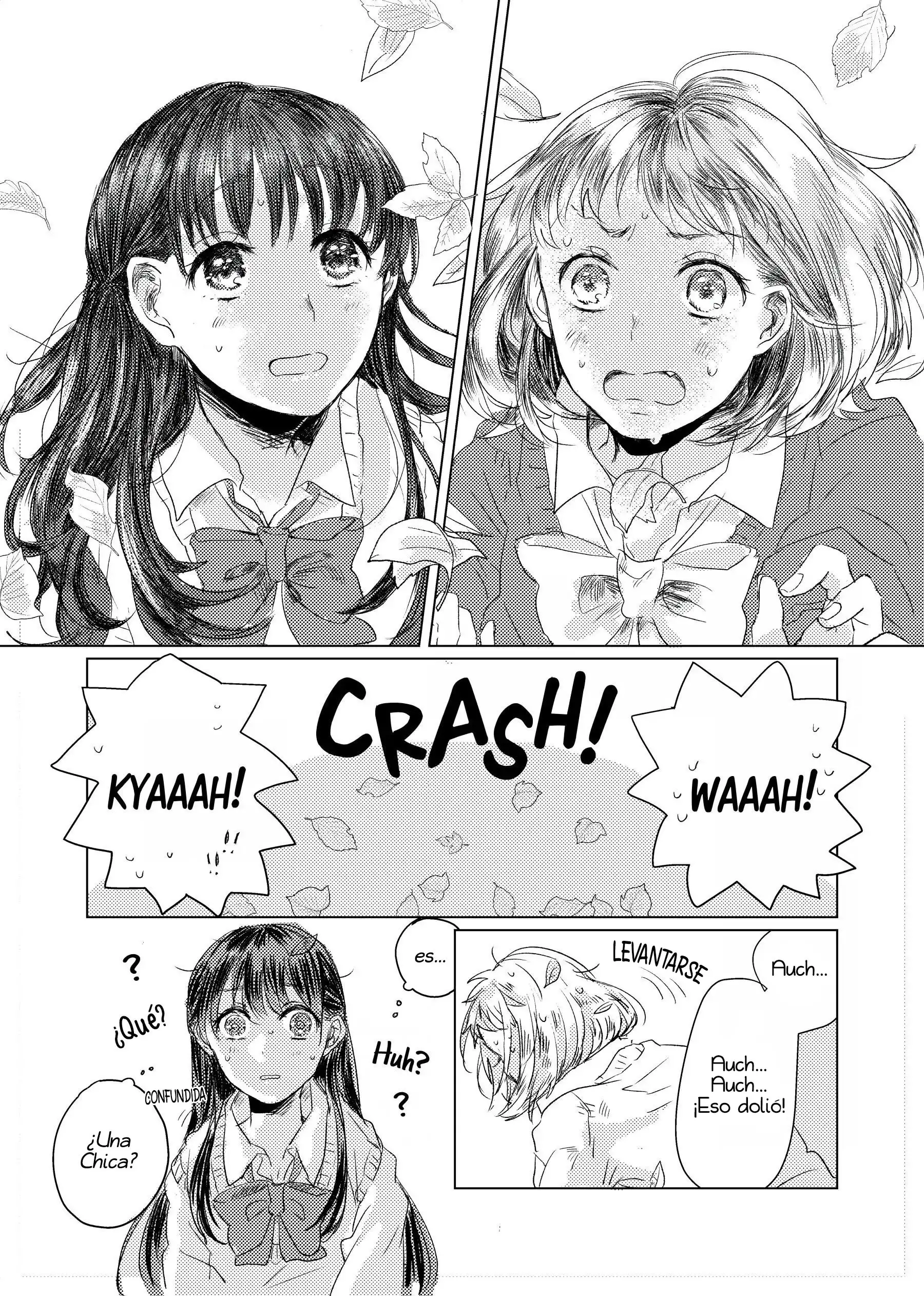 She "Falls" in love - Capítulo 1 - Página 3 - LectorTMOo
