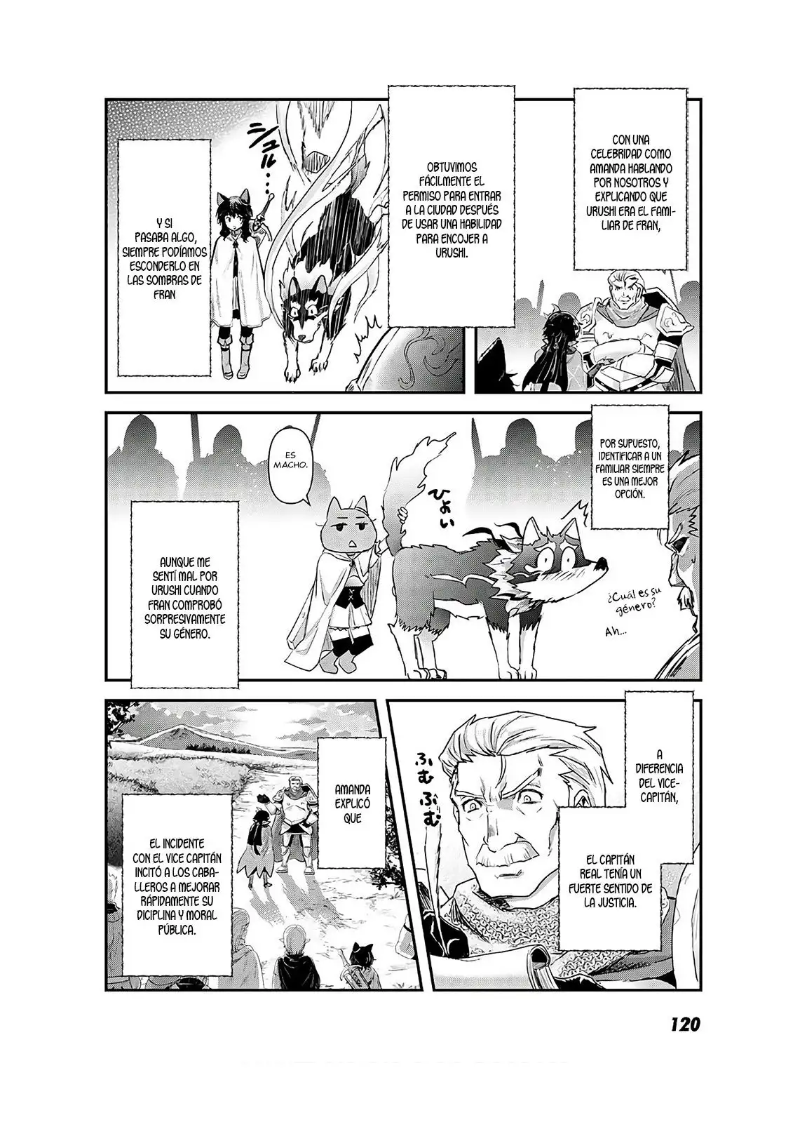 Tensei Shitara Ken Deshita - Capítulo 25.2 - Página 14 - LectorTMOo
