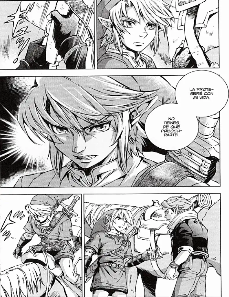 The legend Of Zelda Twilight Princess - Capítulo 29 - Página 10 - LectorTMOo