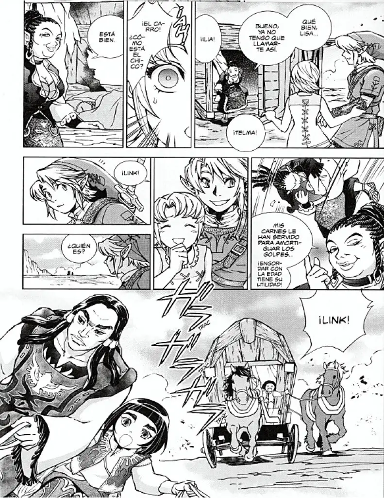 The legend Of Zelda Twilight Princess - Capítulo 29 - Página 43 - LectorTMOo