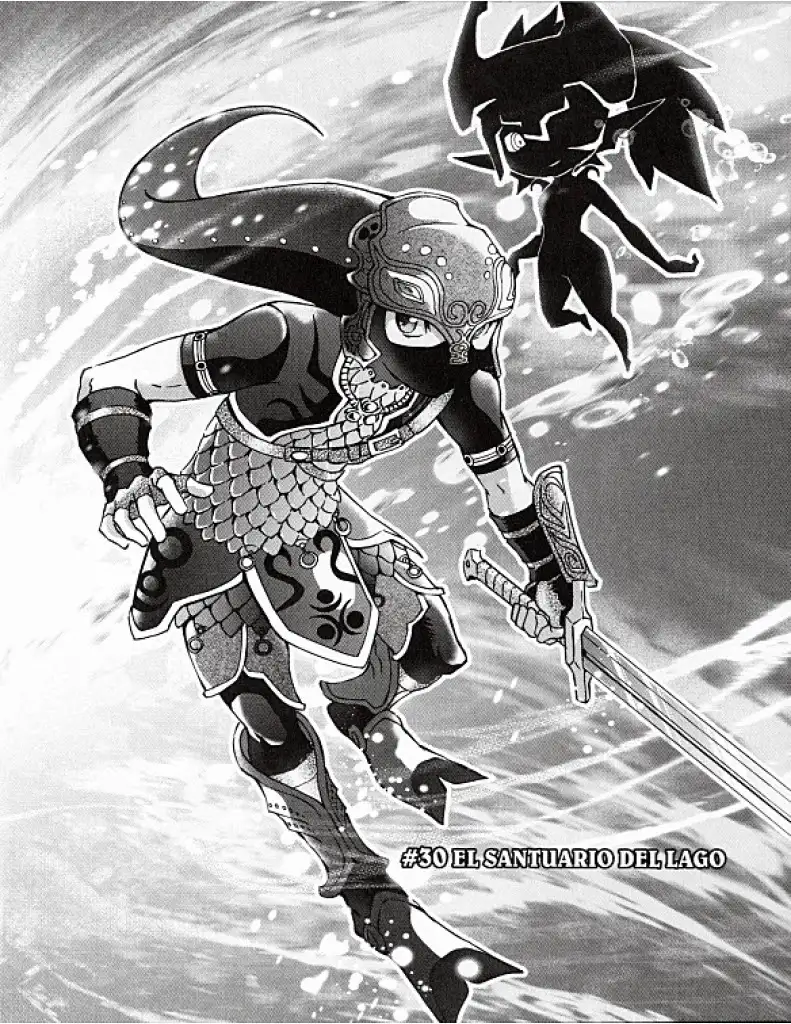 The legend Of Zelda Twilight Princess - Capítulo 30 - Página 1 - LectorTMOo