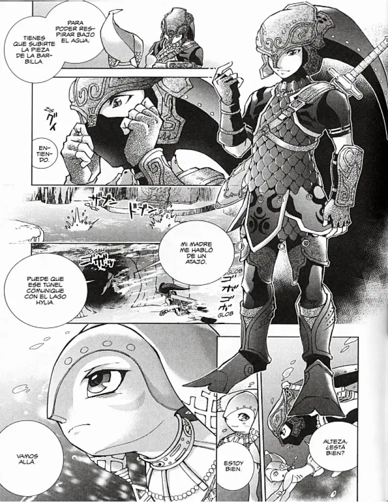 The legend Of Zelda Twilight Princess - Capítulo 30 - Página 8 - LectorTMOo