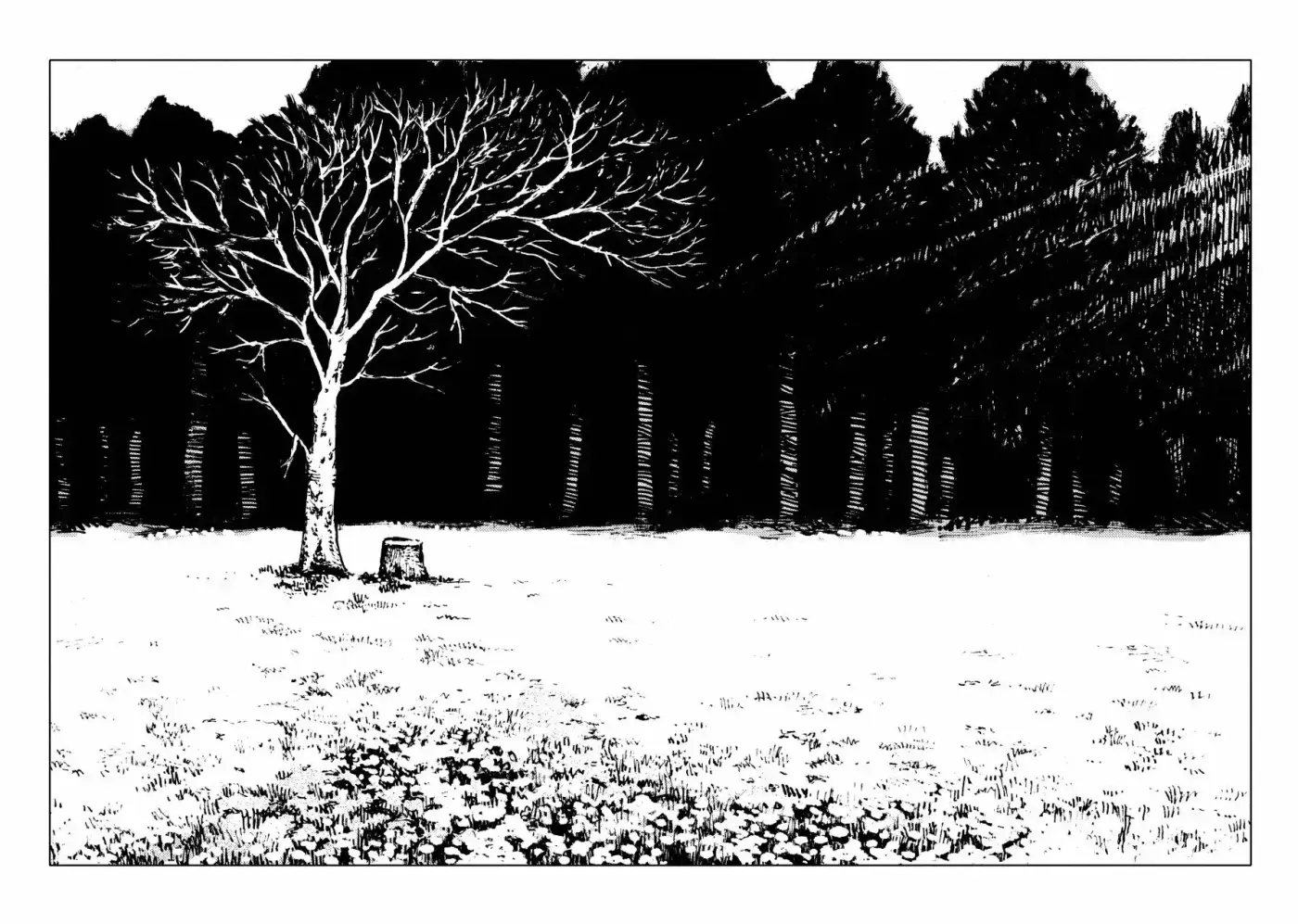 Totsukuni no Shoujo - Capítulo 53 - Página 38 - LectorTMOo