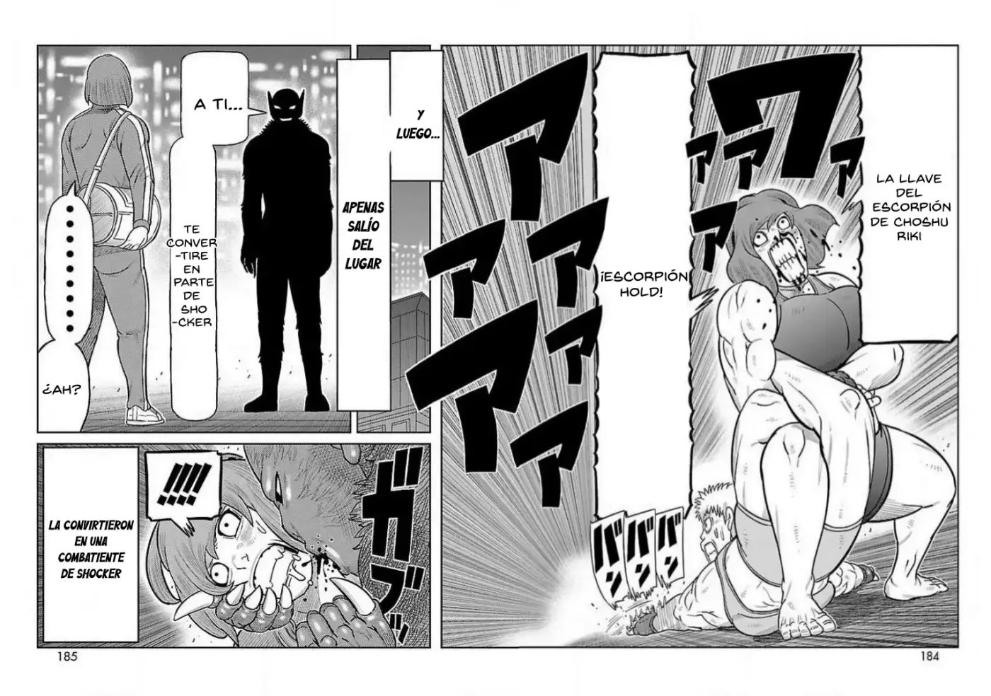 Toujima Tanzaburou wa Kamen Rider ni Naritai - Capítulo 28 - Página 17 - LectorTMOo