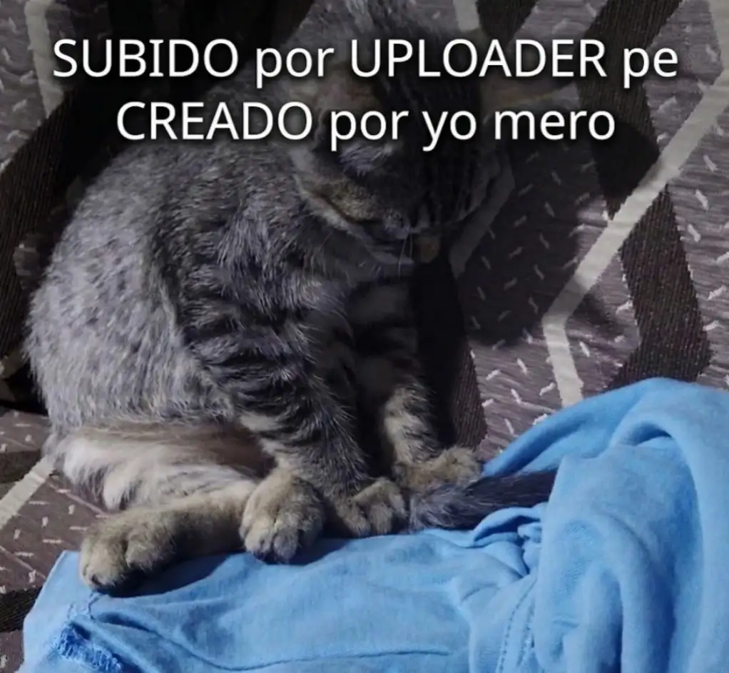 Un destino maldito (Novela) capítulo 3 página 1