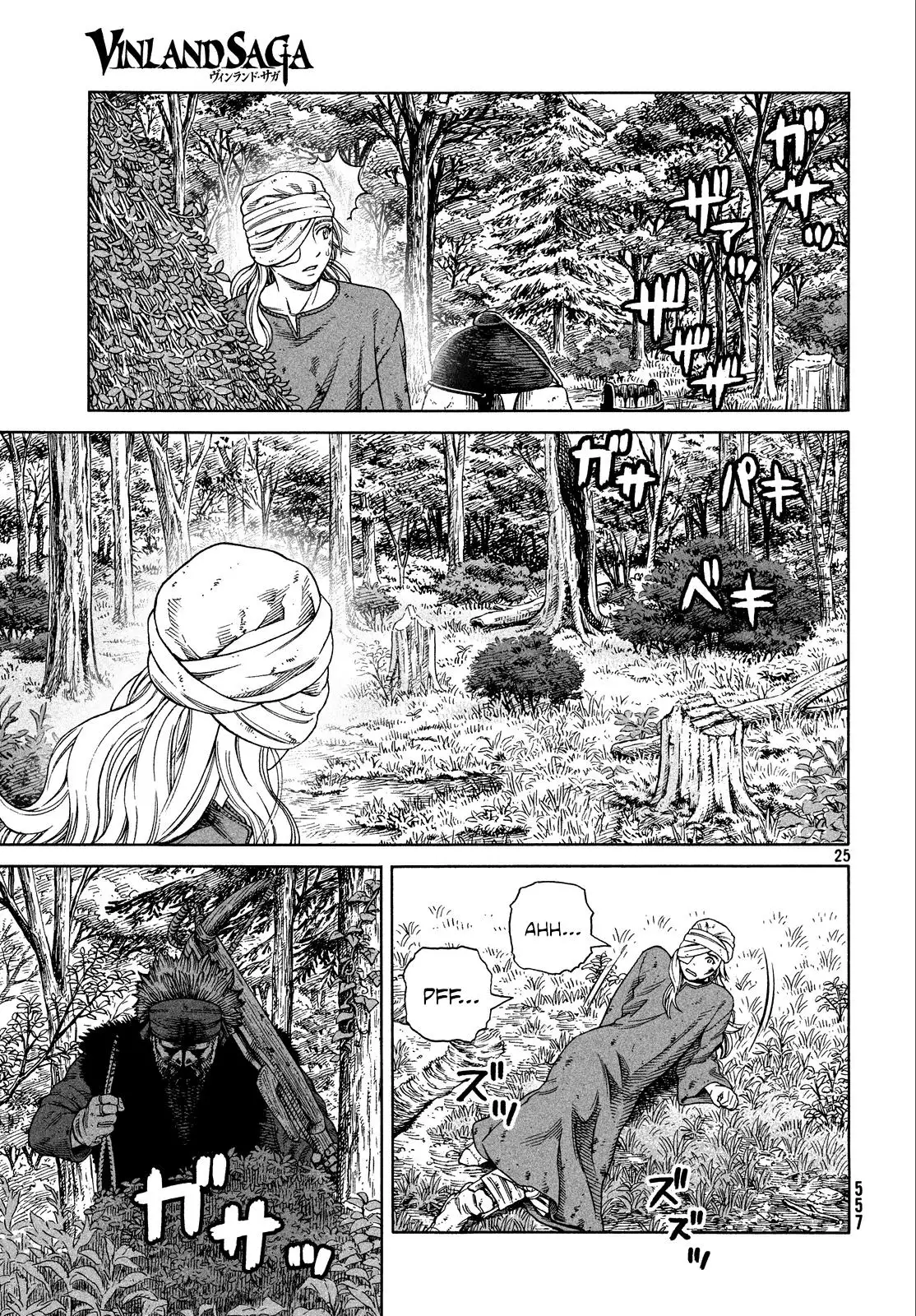 Vinland Saga - Capítulo 119 - Página 25 - LectorTMOo