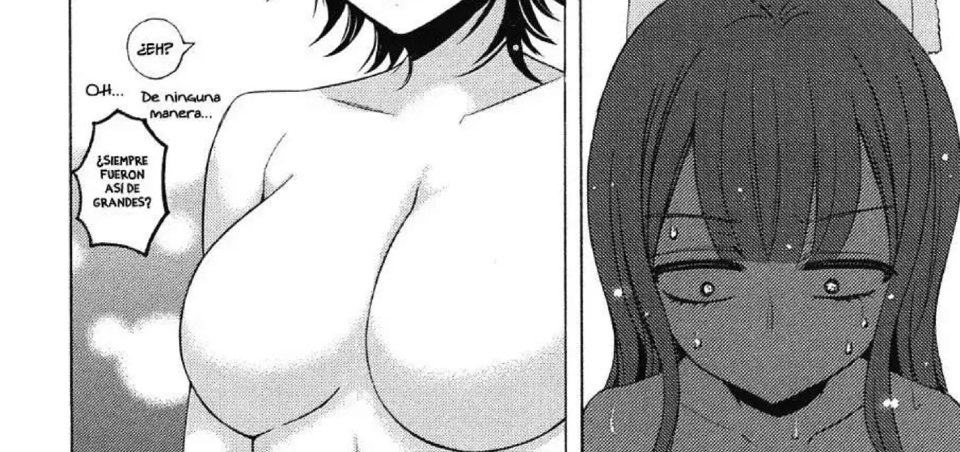 Watari-Kun No XX Ga Houkai Sunzen - Capítulo 44.5 - Página 15 - LectorTMOo