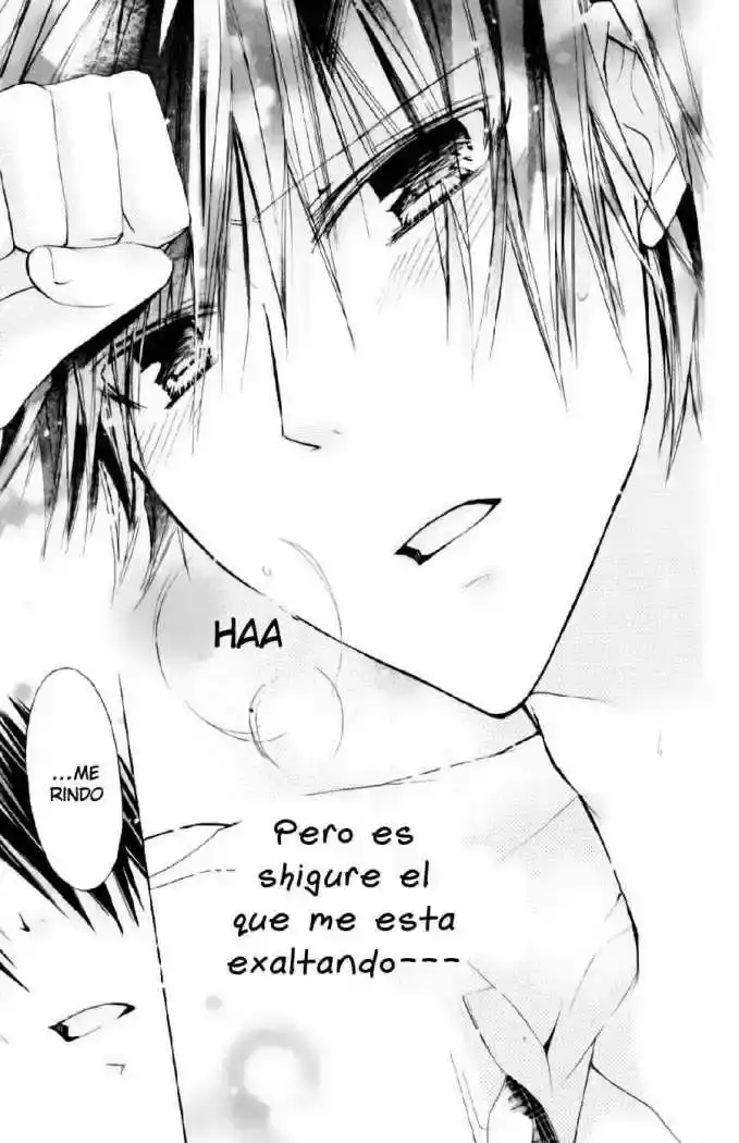 Watashi Ni XX Shinasai! - Capítulo 20 - Página 31 - LectorTMOo