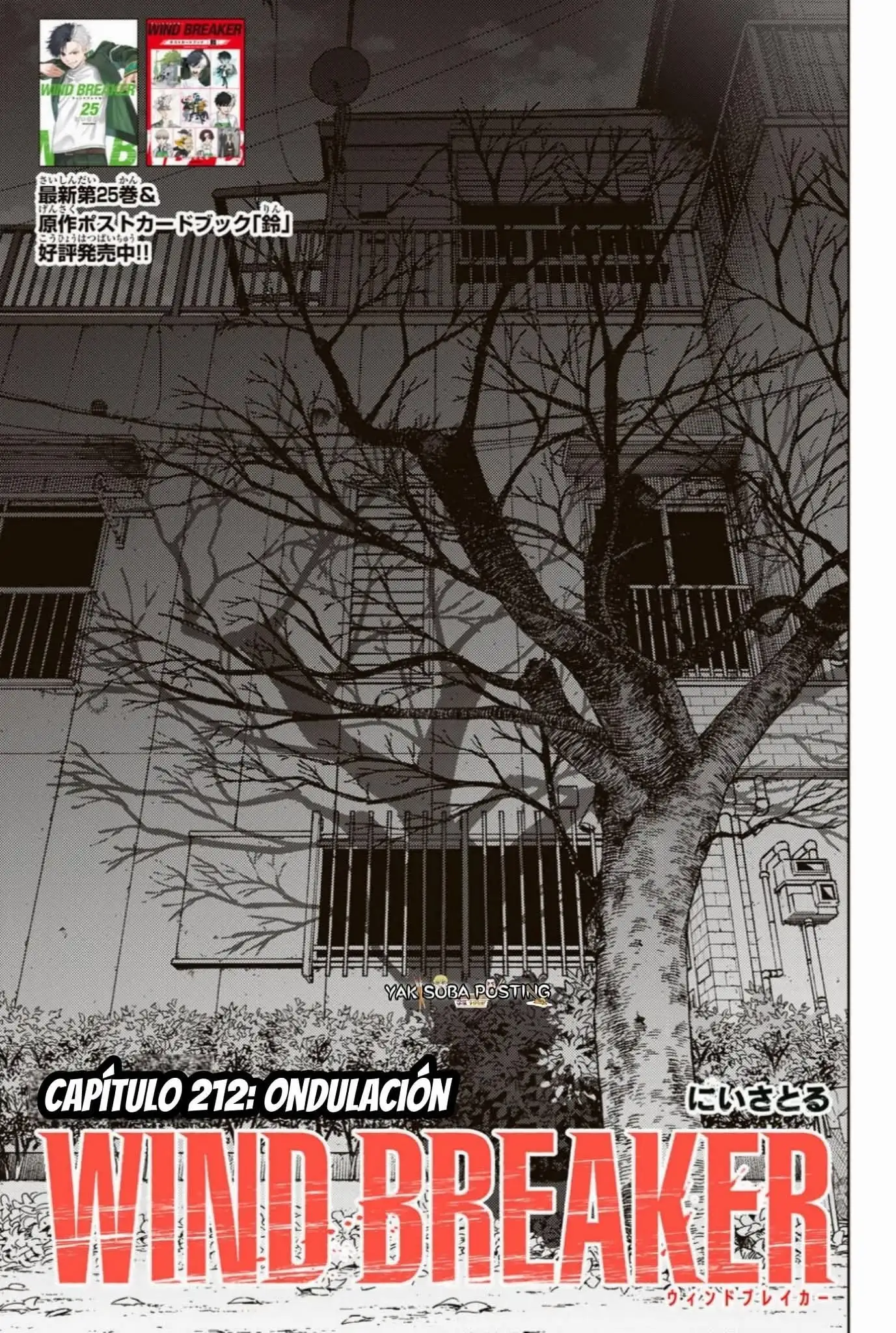 WIND BREAKER - Capítulo 212 - Página 3 - LectorTMOo