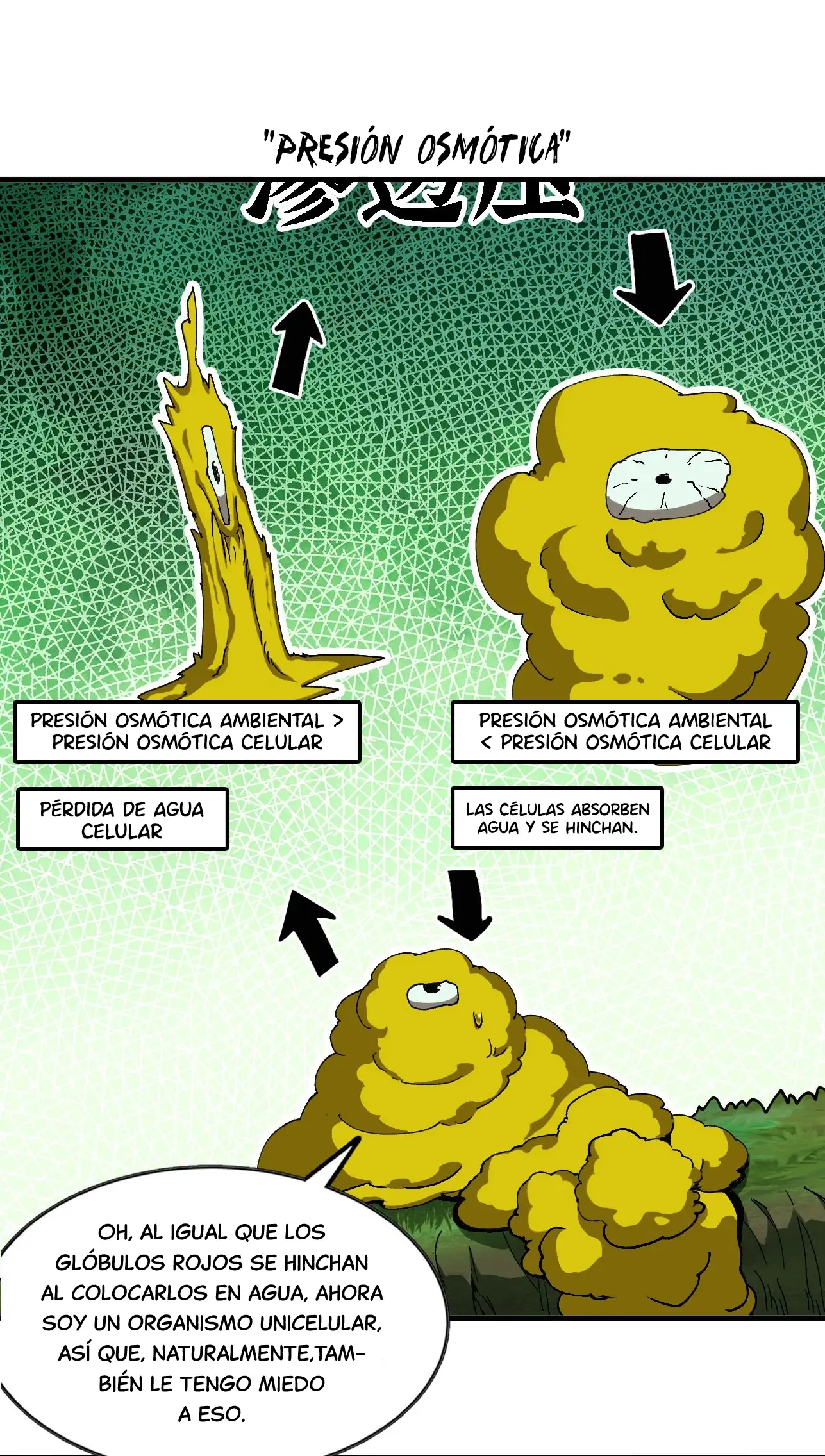 Yo, solo, como un hongo mucilaginoso - Capítulo 5 - Página 9 - LectorTMOo