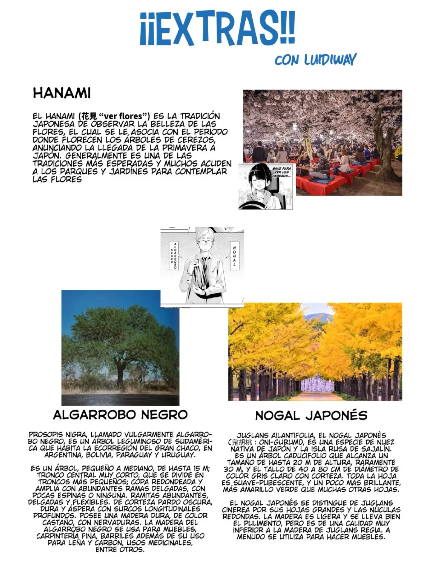 Yuru camp - Capítulo 64 - Página 32 - LectorTMOo