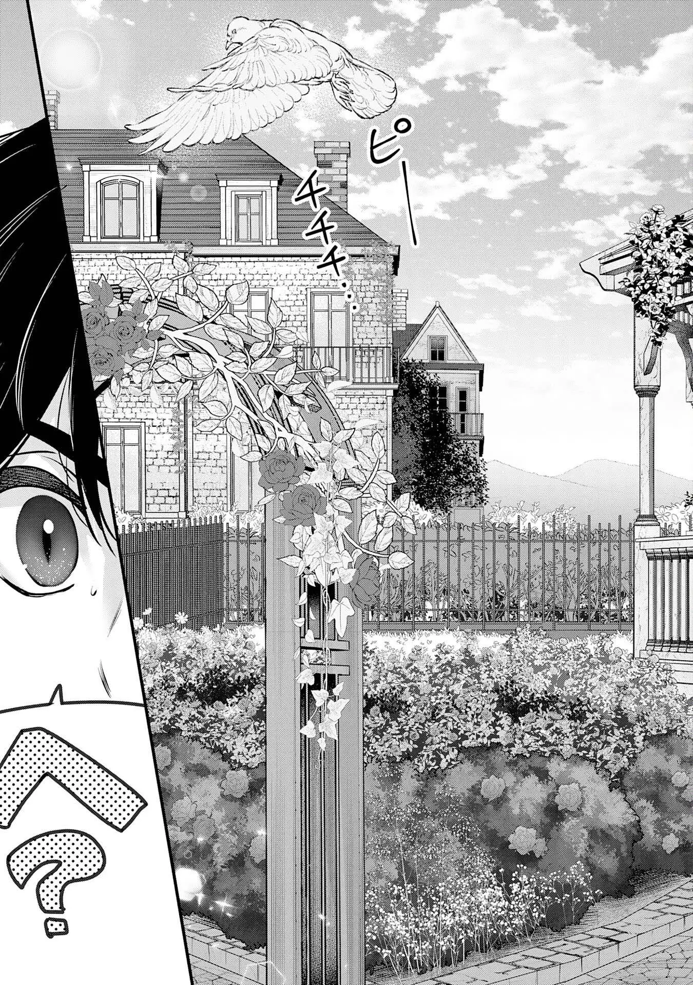 ZENDOUKOUGEKI «AUTO» SUKIRU DE ORE DAKE CHOUSOKU REBERU APPU ~MEGAMI GA MICHIBIKU TAIDANA TENSEISHA NO SAKUTTO ISEKAI KOURYAKU~ capítulo 2 página 13
