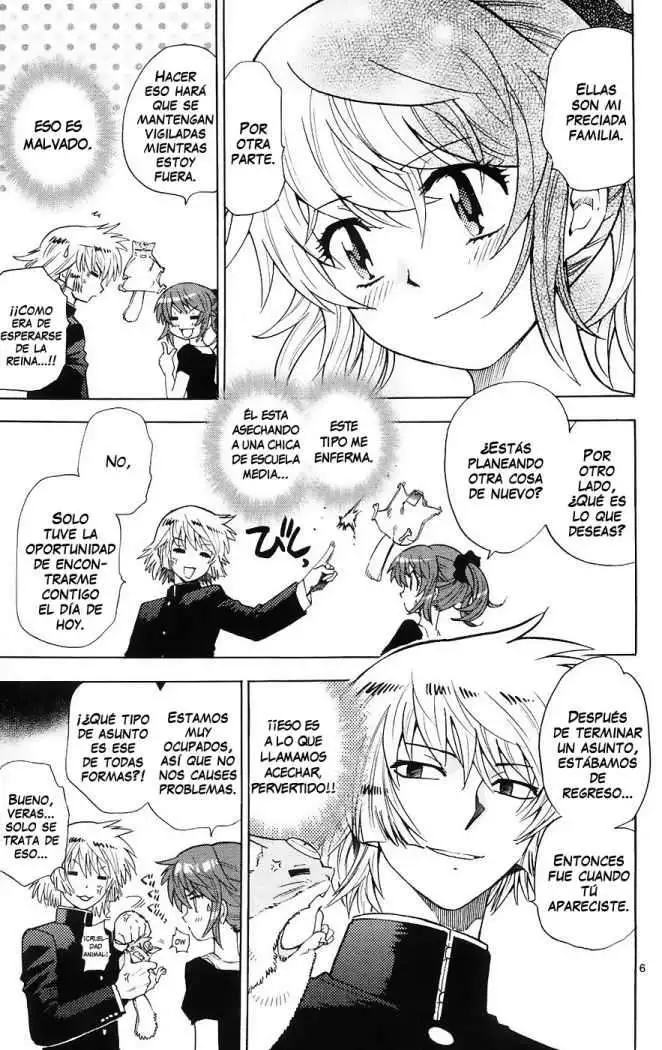 Zettai Karen Children - Capítulo 177 - Página 8 - LectorTMOo