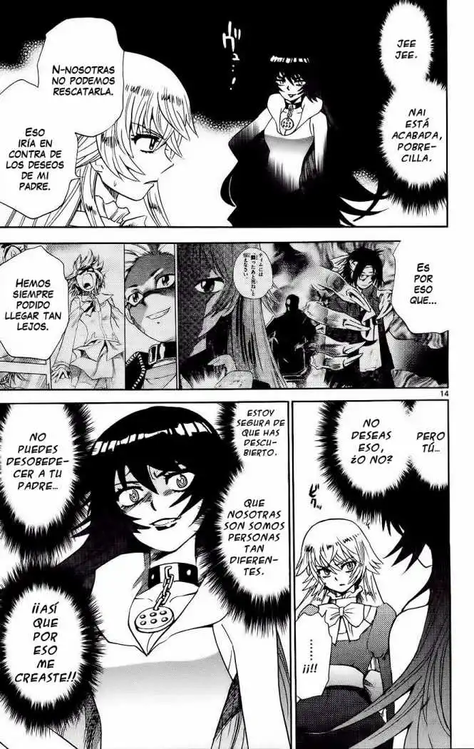 Zettai Karen Children - Capítulo 209 - Página 16 - LectorTMOo