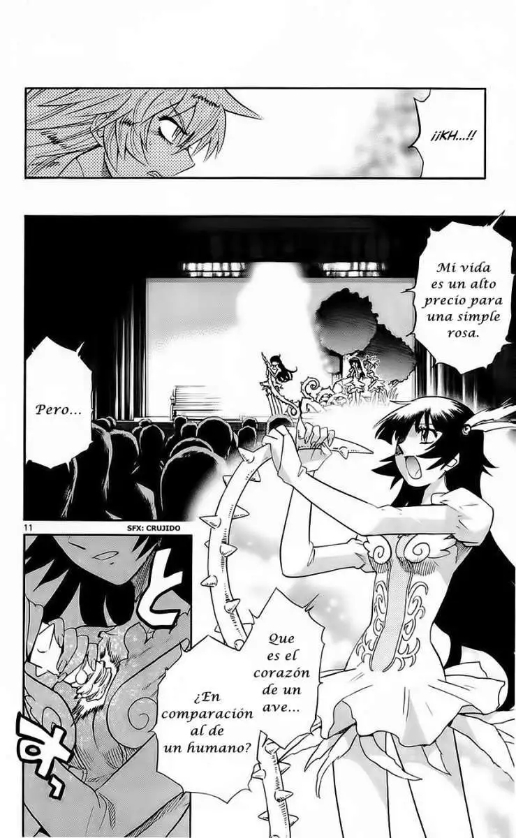 Zettai Karen Children - Capítulo 237 - Página 12 - LectorTMOo