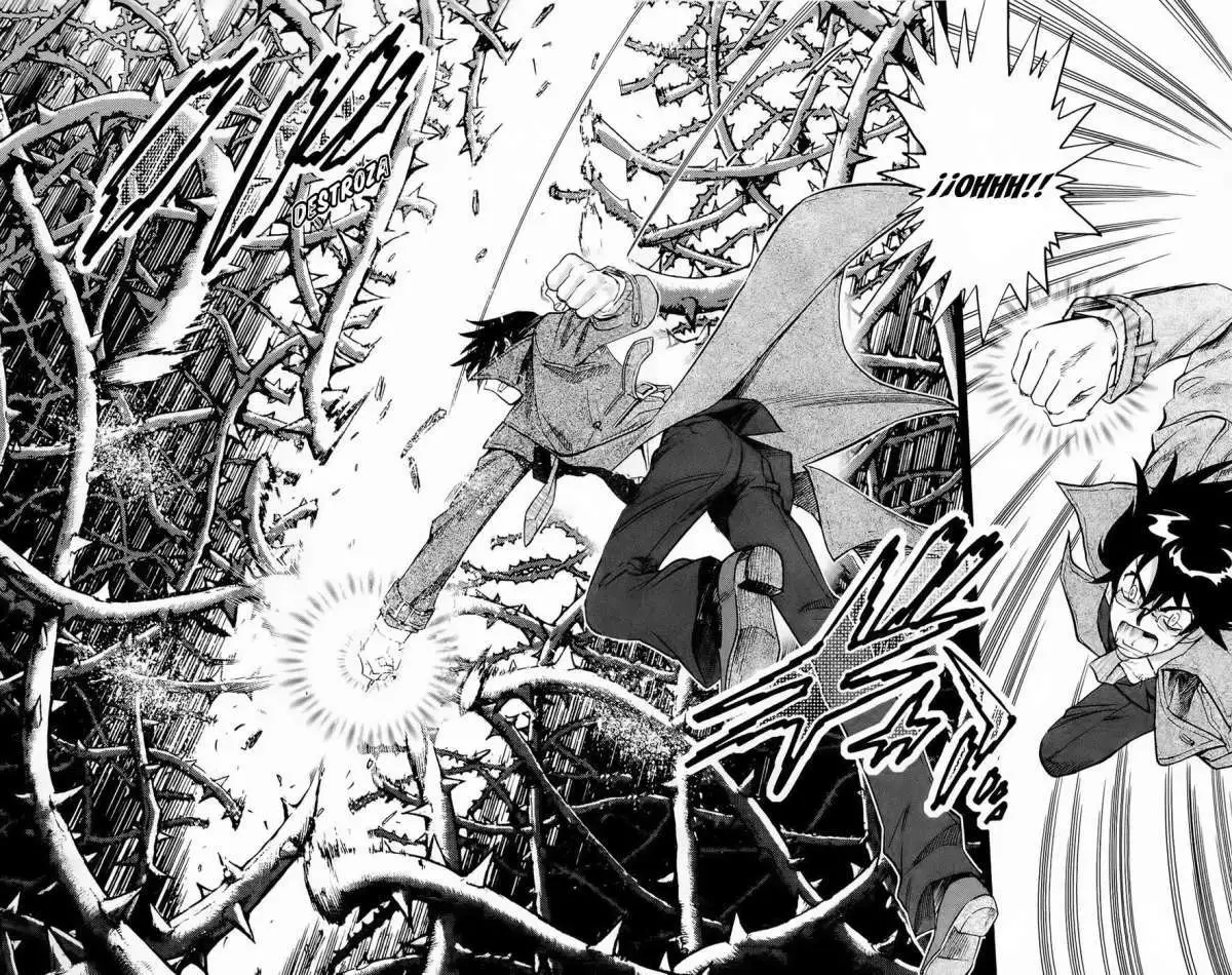 Zettai Karen Children - Capítulo 253 - Página 17 - LectorTMOo