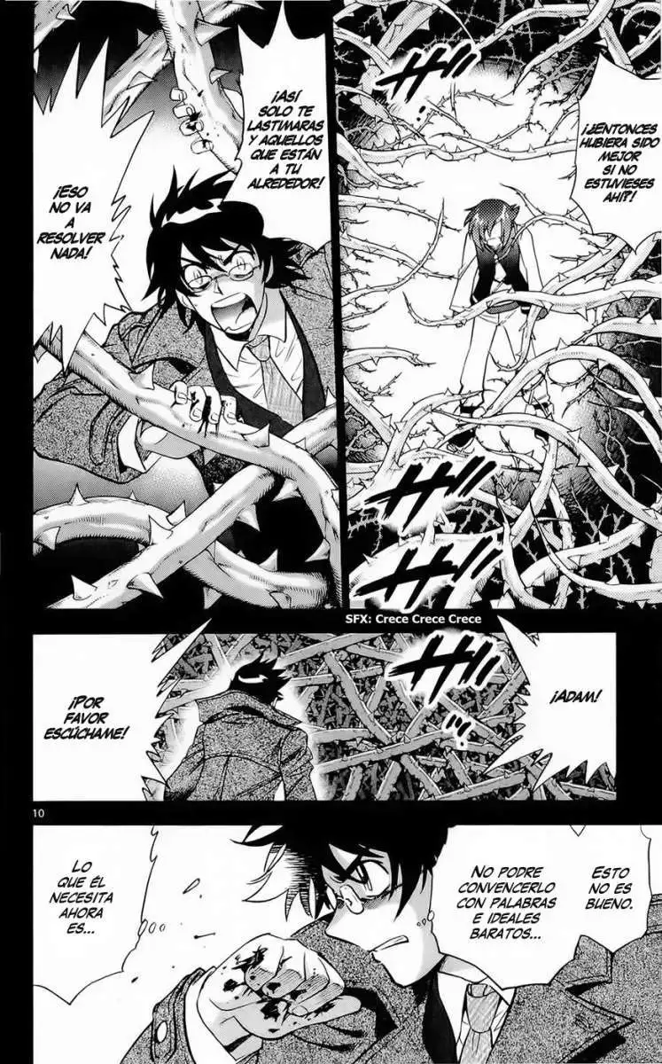 Zettai Karen Children - Capítulo 254 - Página 11 - LectorTMOo