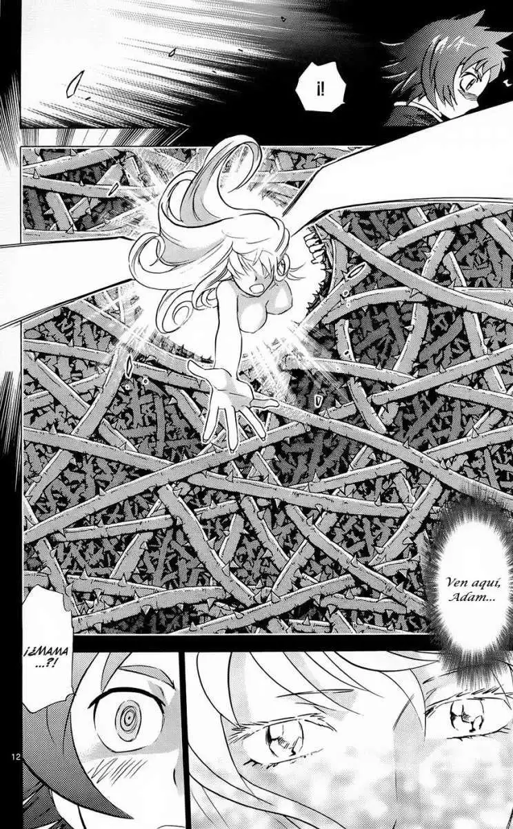 Zettai Karen Children - Capítulo 254 - Página 13 - LectorTMOo