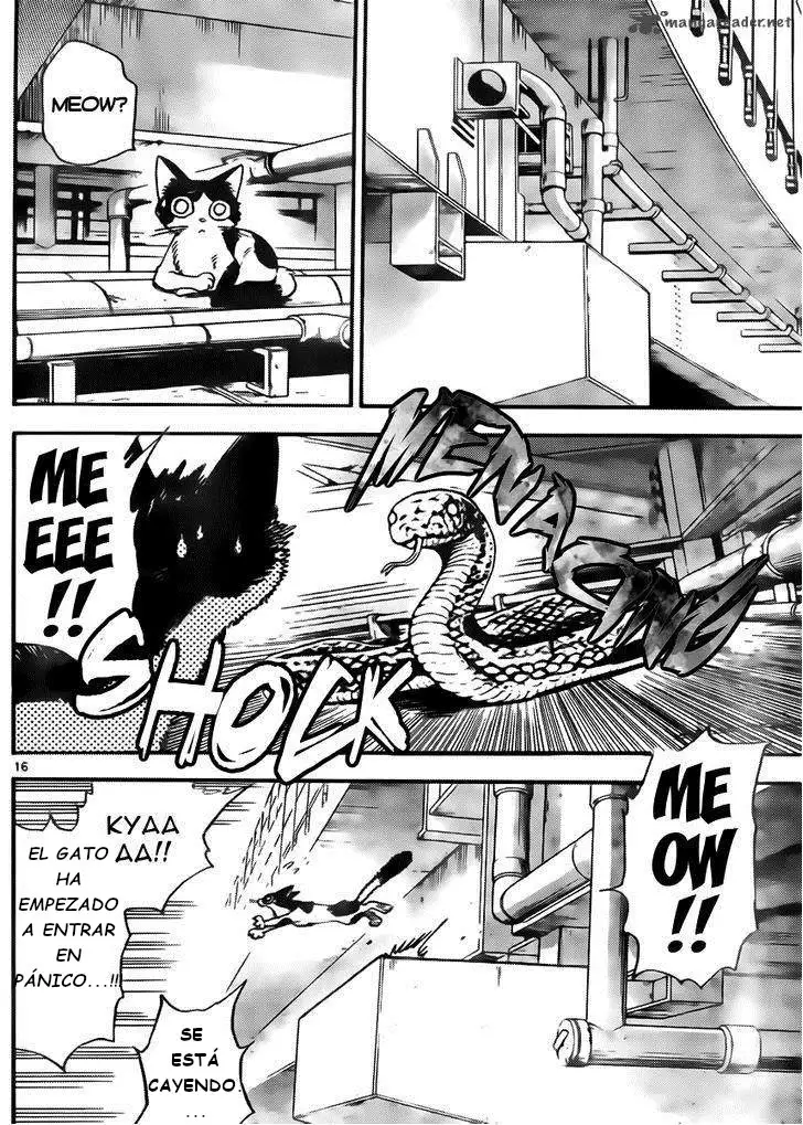 Zettai Karen Children - Capítulo 416 - Página 17 - LectorTMOo