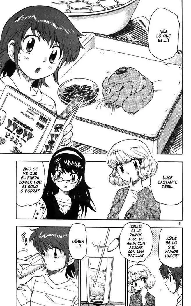 Zettai Karen Children - Capítulo 65 - Página 7 - LectorTMOo