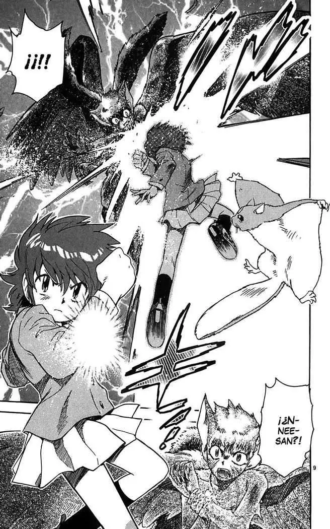 Zettai Karen Children - Capítulo 67 - Página 11 - LectorTMOo