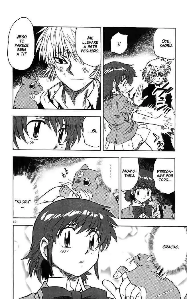 Zettai Karen Children - Capítulo 69 - Página 14 - LectorTMOo