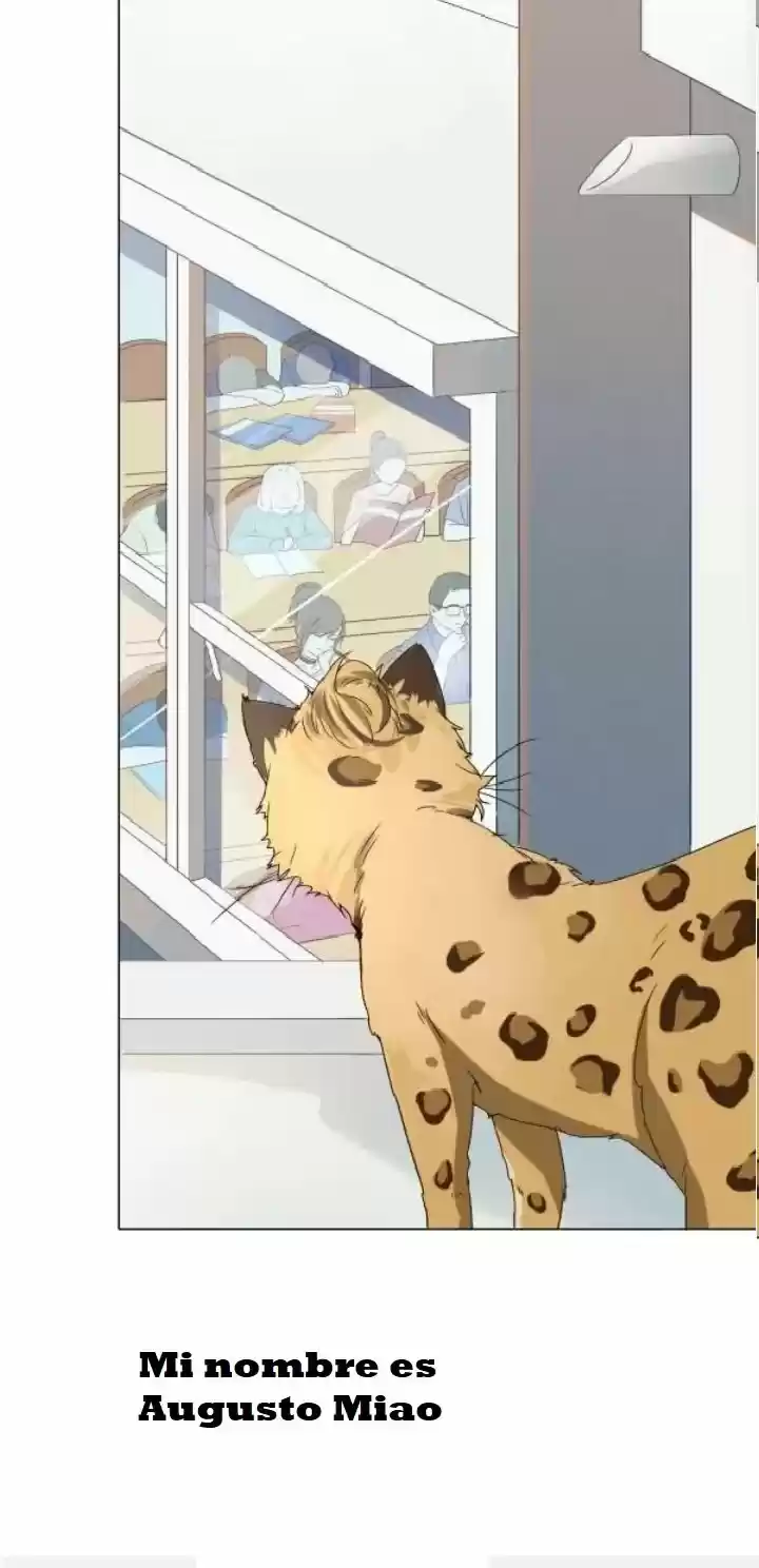 12 EVIL CATS - Capítulo 1 - Página 4 - LectorTMOo