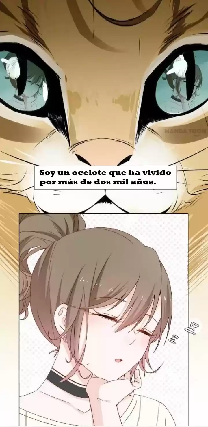 12 EVIL CATS - Capítulo 1 - Página 5 - LectorTMOo