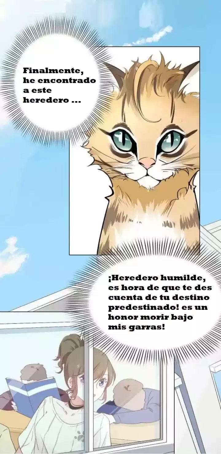 12 EVIL CATS - Capítulo 1 - Página 13 - LectorTMOo