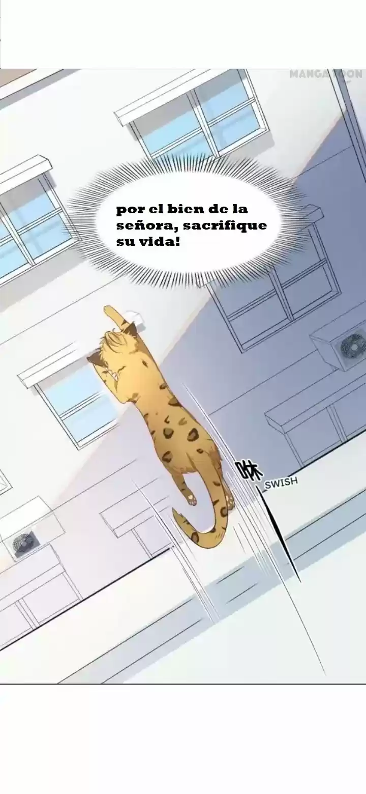 12 EVIL CATS - Capítulo 1 - Página 14 - LectorTMOo