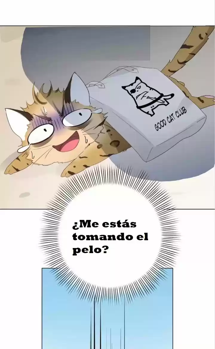 12 EVIL CATS - Capítulo 1 - Página 31 - LectorTMOo