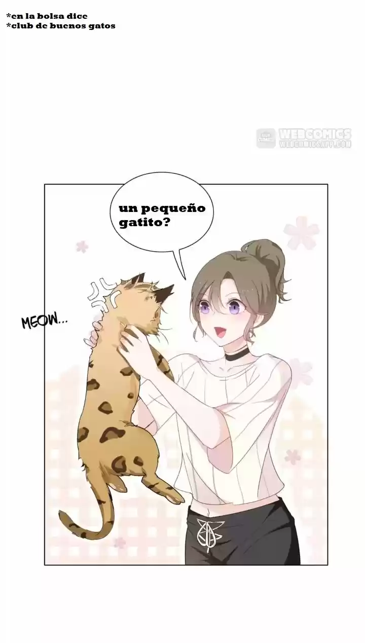 12 EVIL CATS - Capítulo 1 - Página 34 - LectorTMOo