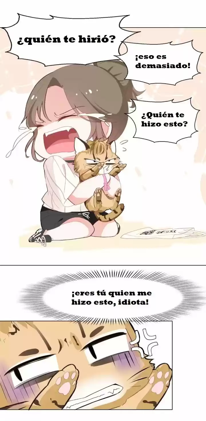 12 EVIL CATS - Capítulo 1 - Página 35 - LectorTMOo