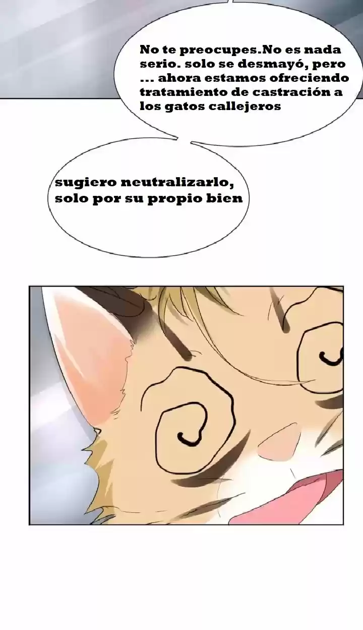 12 EVIL CATS - Capítulo 1 - Página 42 - LectorTMOo